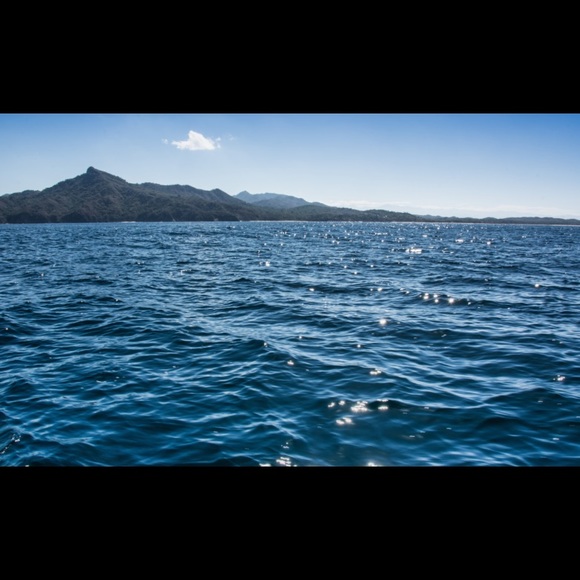 Meet your Posher, Sophia - Picture 1 of 1